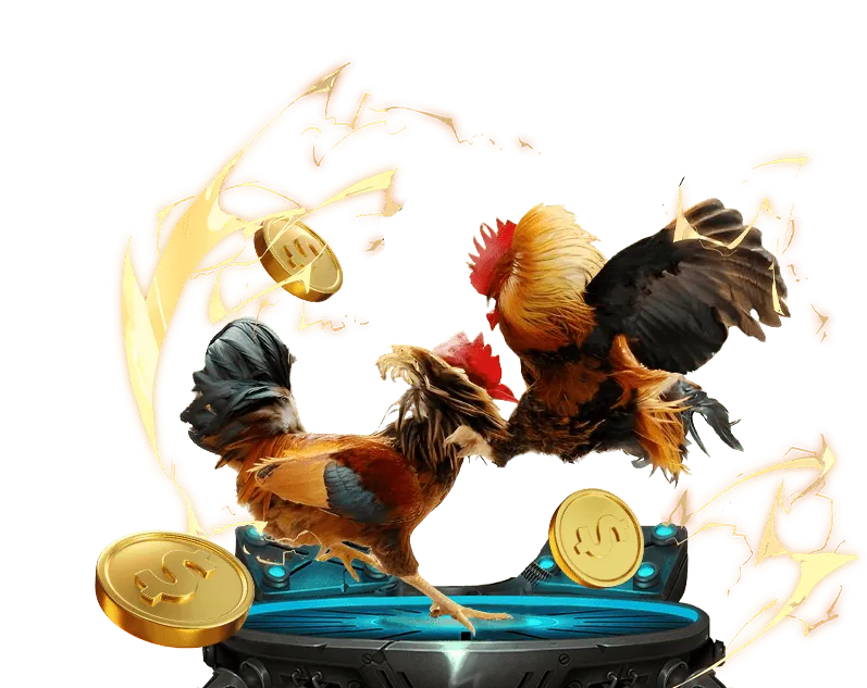 Các loại kèo đá gà và tỷ lệ cược tại net88 link